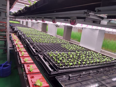 Farmers Lab Introduces BKCC, a Practical and Profitable Vertical Farming Innovation, Poised for Global Adoption
